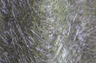 West Hanney fibreglass roof work